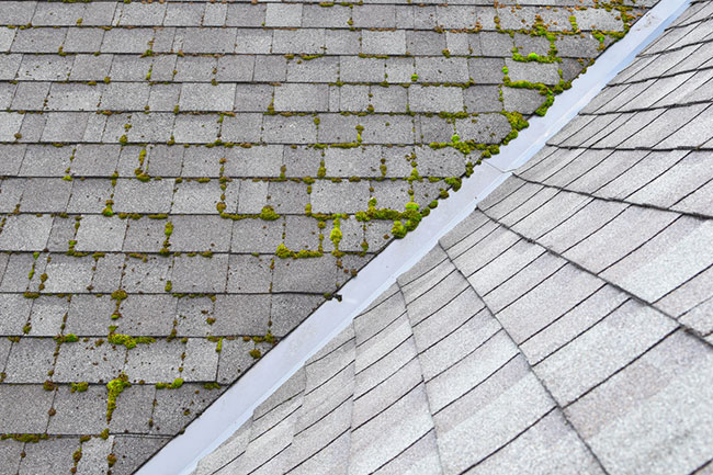 3 Myths About Roof Cleaning: Debunked