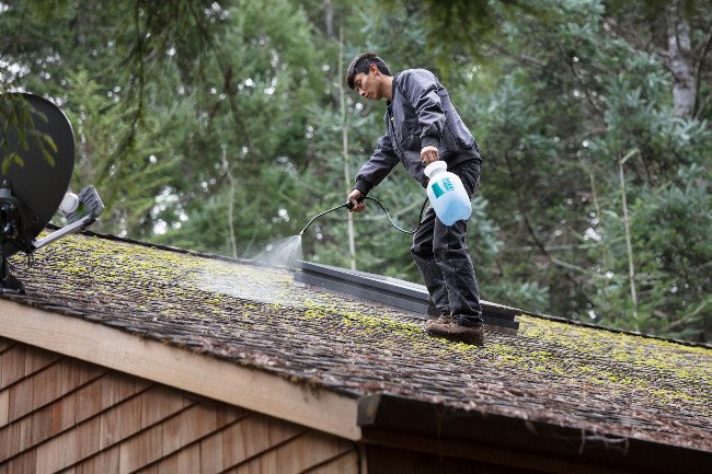 Roof Washing in New Jersey