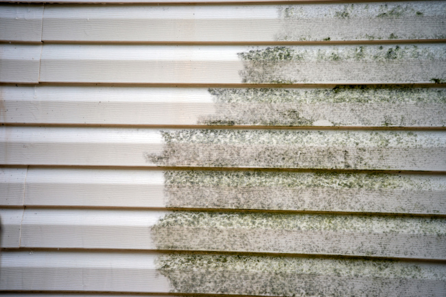 Siding Washing in Manahawkin, New Jersey