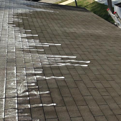 Exterior House Cleaning in Manahawkin, New Jersey
