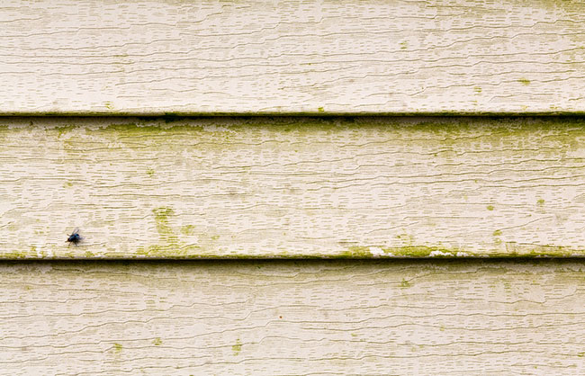 The Dos and Don’ts of Siding Washing for Homes and Businesses