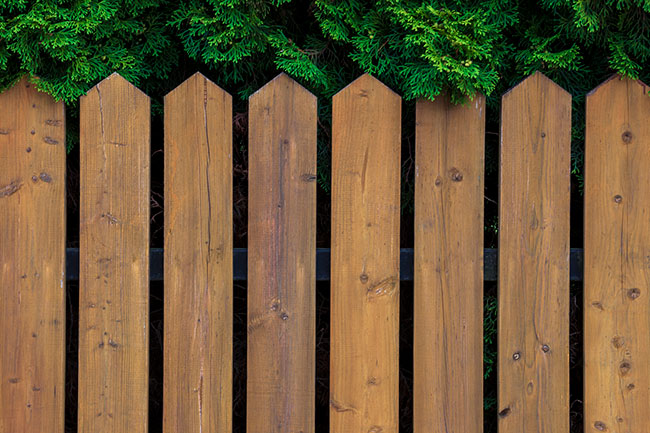 3 Environmental Benefits of Using Professional Fence Washing Services