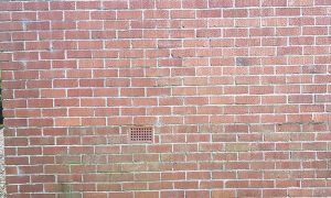 The Science Behind How Professional Brick Cleaning Helps Combat Discoloration