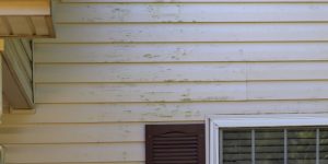 Exterior House Washing Mistakes to Avoid