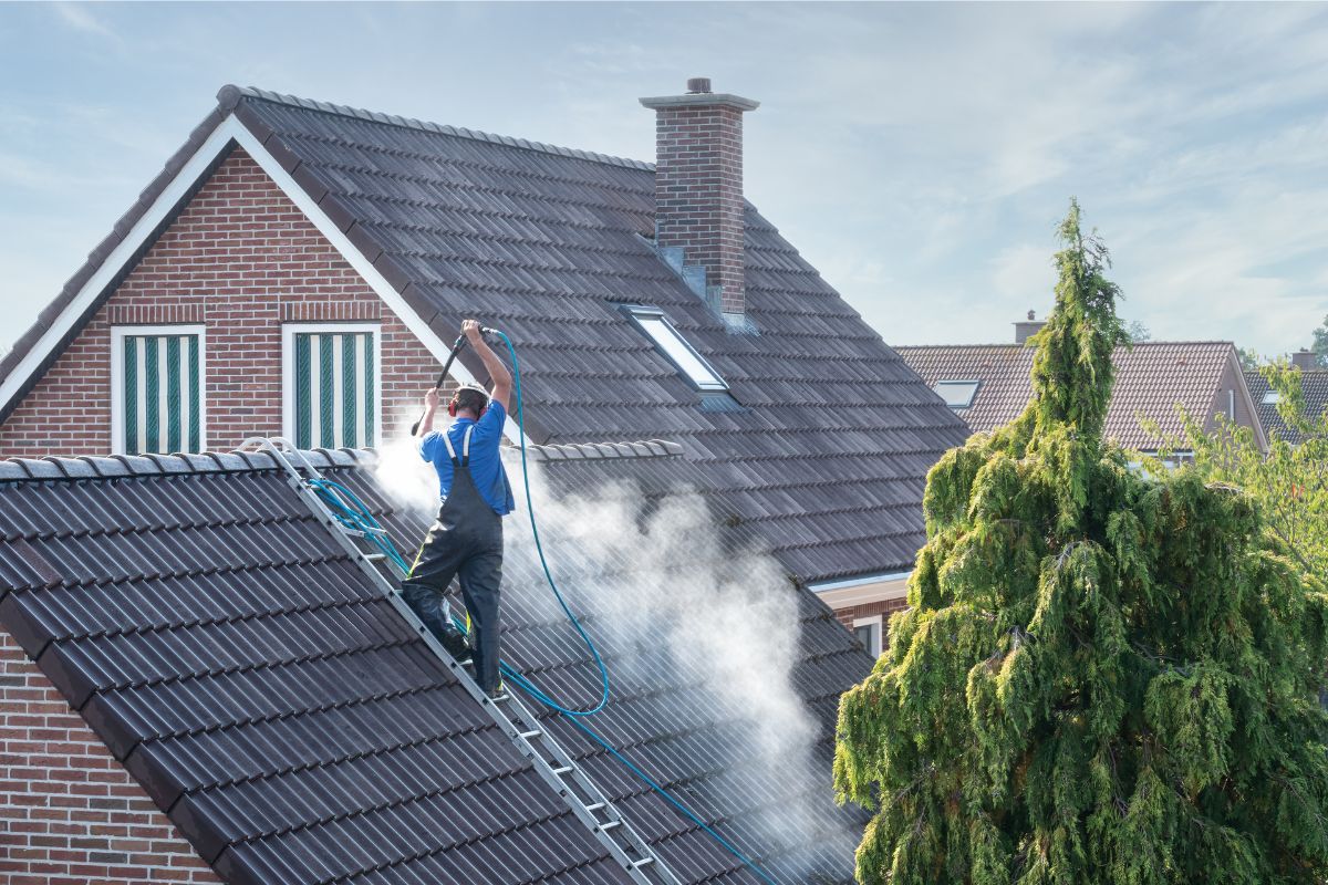 Dirty Rafters The Hidden Dangers of a Dirty Roof: How CamoVets Protects Your Home and ...