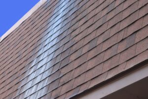 roof stains