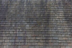 roof stains