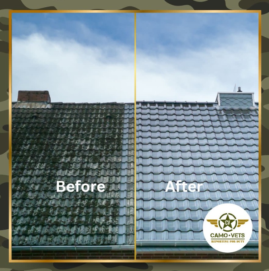 soft washing roof stains lanoka harbor new jersey