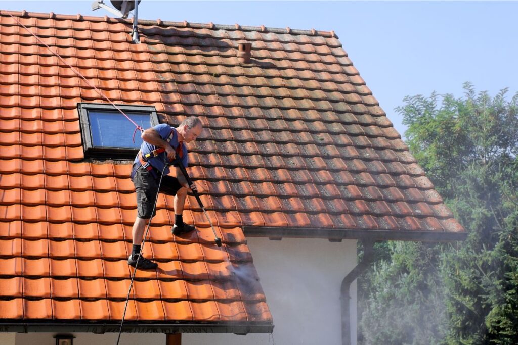 roof cleaning