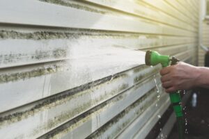 professional cleaning