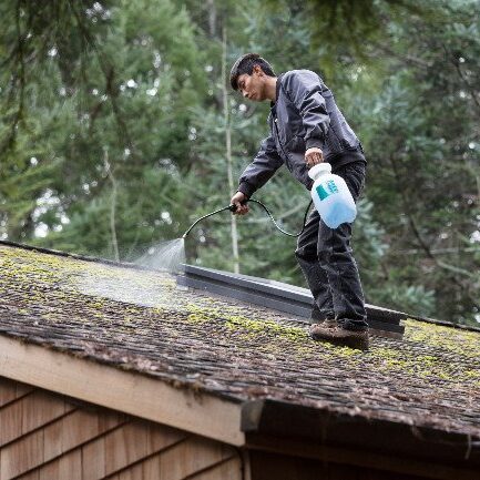 Roof Washing in New Jersey