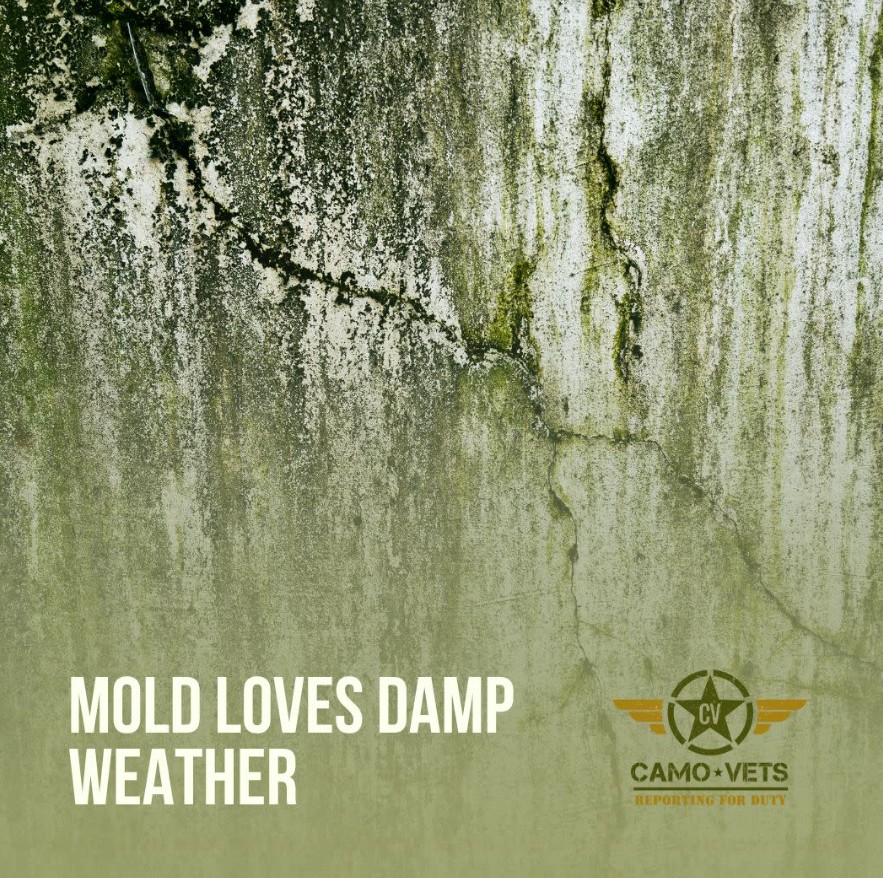 pool deck cleaning brick new jersey